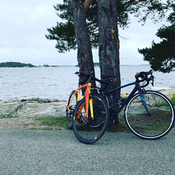 Hyra cykel i Stockholm - Specialized racercyklar mot träd